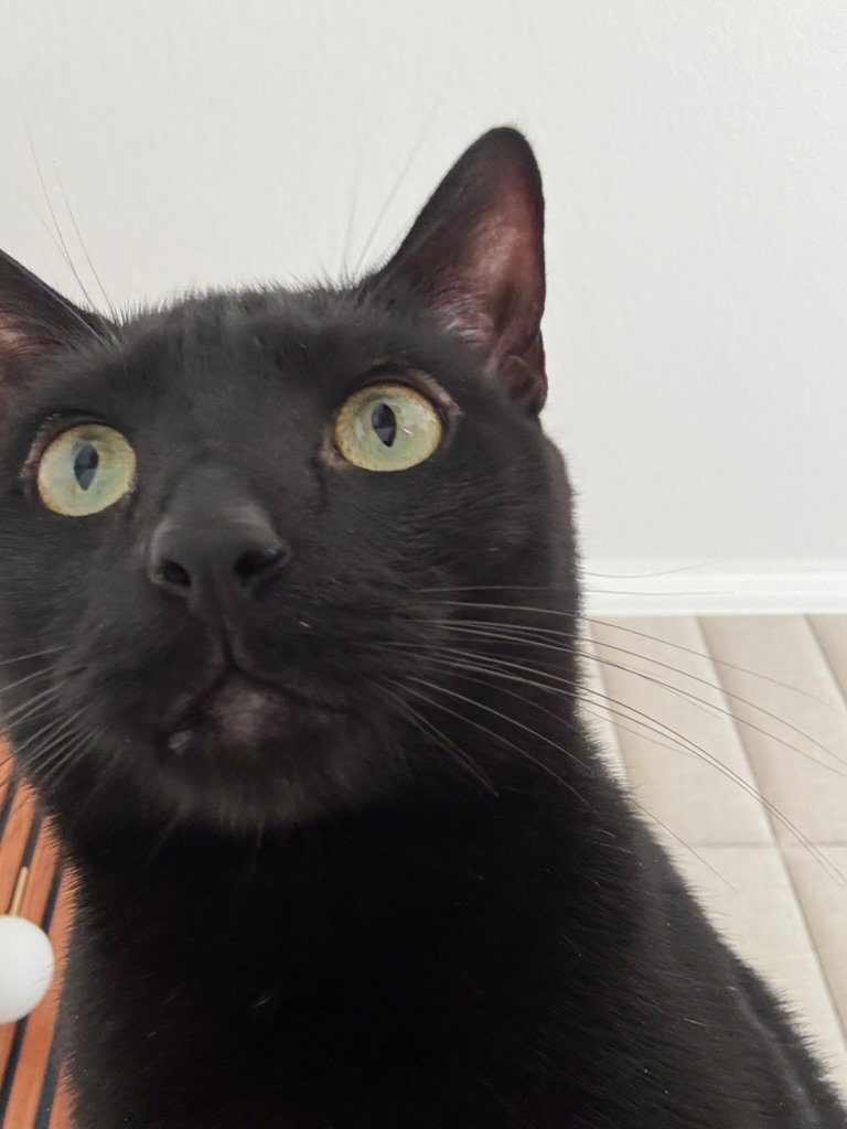 Charlie looking wide-eyed and confused, with a very prominent pointy nose.