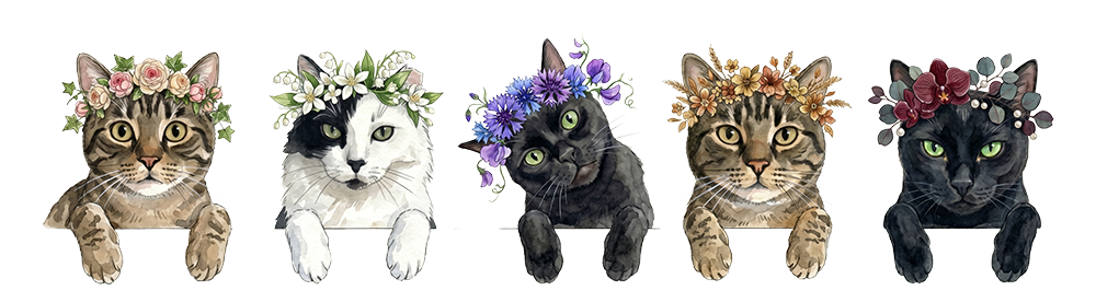 All five cats